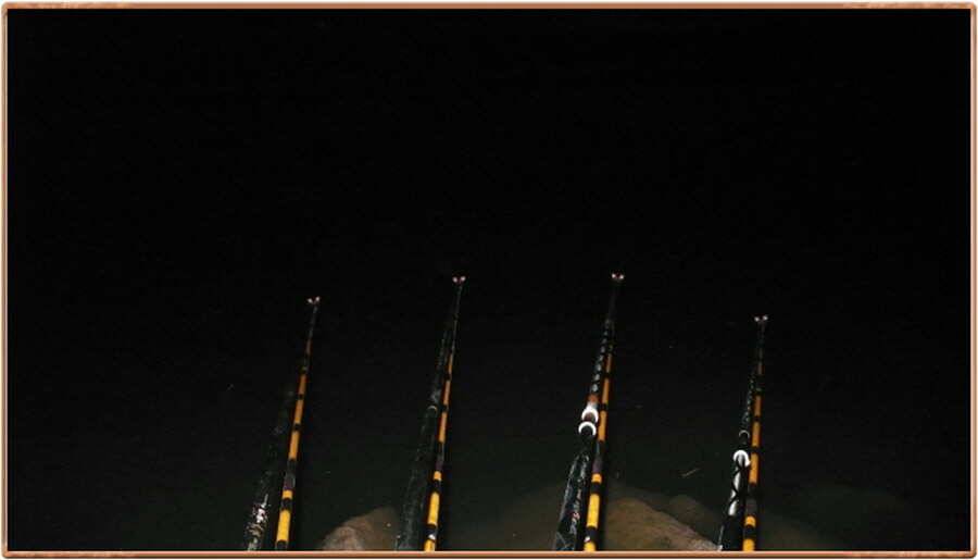 pro_johwang_ec82c_042909_51611.jpg