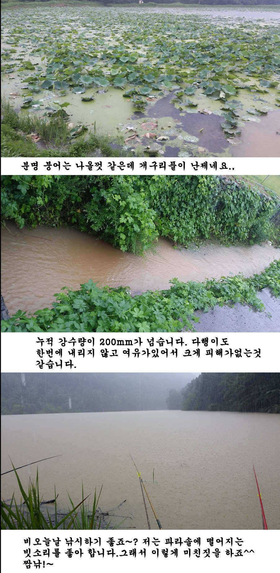 청도권 청도천 빵빵 터집니다 (조황조행기 - 특파원조황)