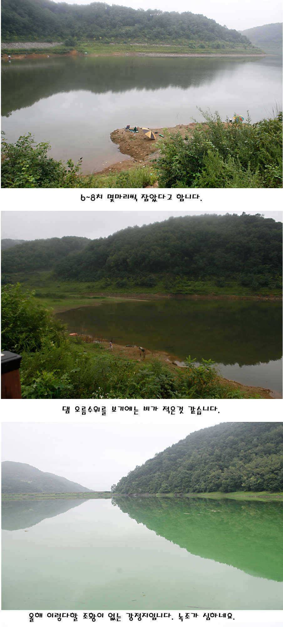 청도권 가을전 최고의 호기 (조황조행기 - 특파원조황)