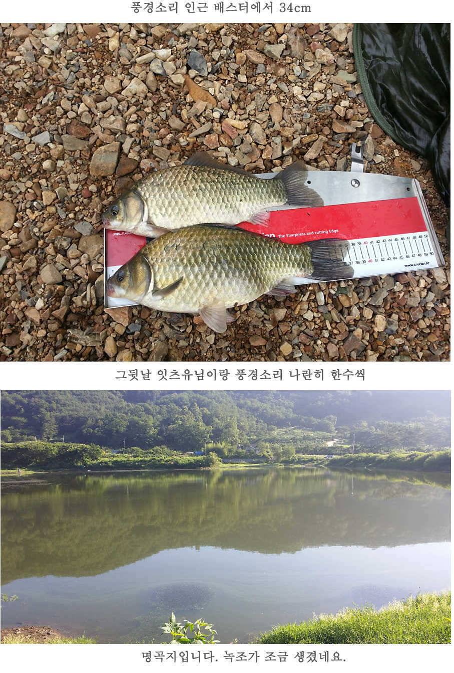 청도권 지난 조황입니다4046cm (조황조행기 - 특파원조황)