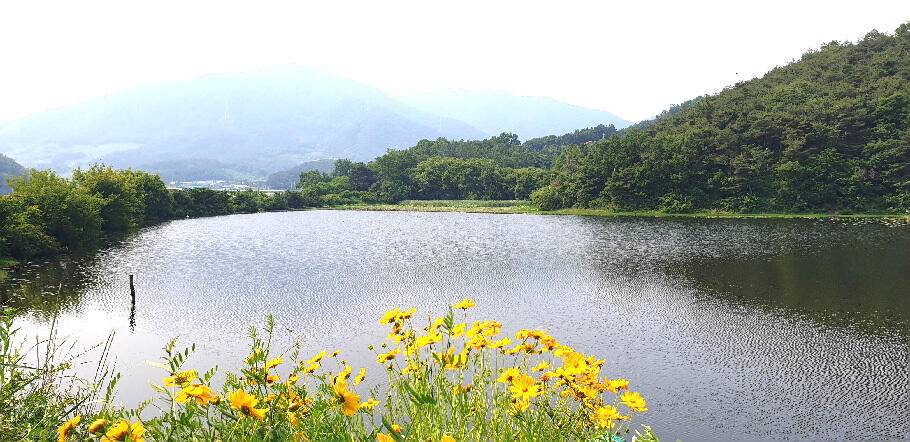 6월여름낚시의 시작 입니다 (조황조행기 - 특파원조황)
