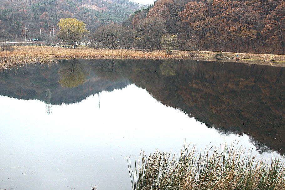 겨울시즌을 맞이 하면서 (조황조행기 - 특파원조황)