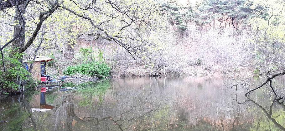 4월의 부푼마음으로 산란철 조황안내 (조황조행기 - 특파원조황)