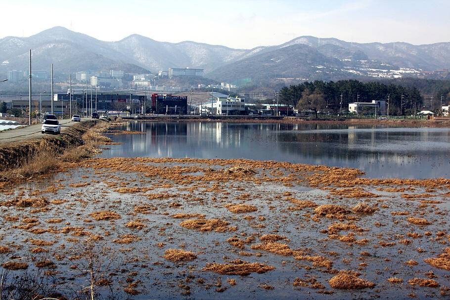 대구경산권 조황안내시즌의 시작 (조황조행기 - 특파원조황)