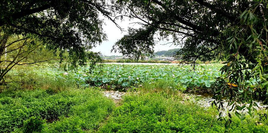 낚시의 계절9월을 맞으면서 (조황조행기 - 특파원조황)