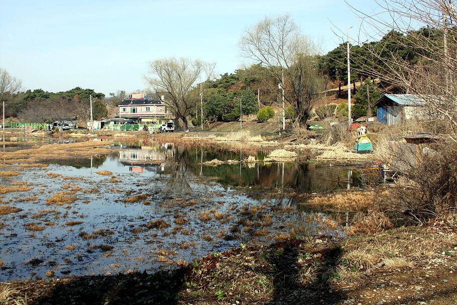 대구경산권 조황안내시즌의 시작 (조황조행기 - 특파원조황)