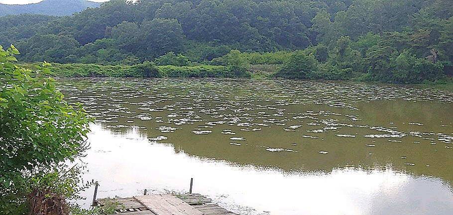 7월첫장마비 후 저수지 상황 (조황조행기 - 특파원조황)