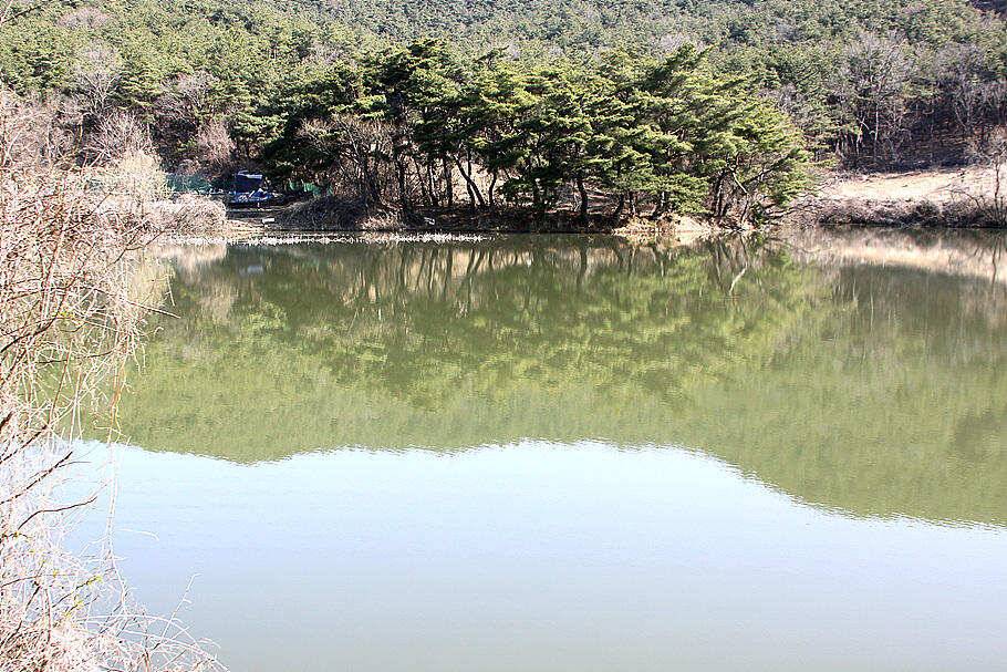 춘분시즌을 맞는 봄붕어 소식 입니다 (조황조행기 - 특파원조황)