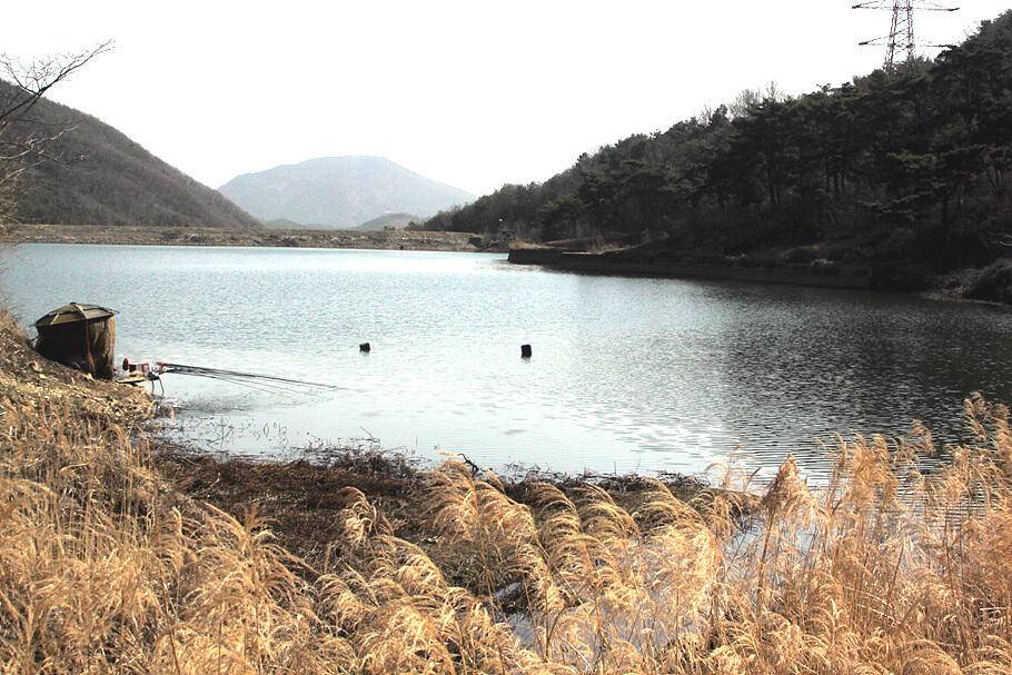 대구경산권 조황안내산란철 도래 (조황조행기 - 특파원조황)