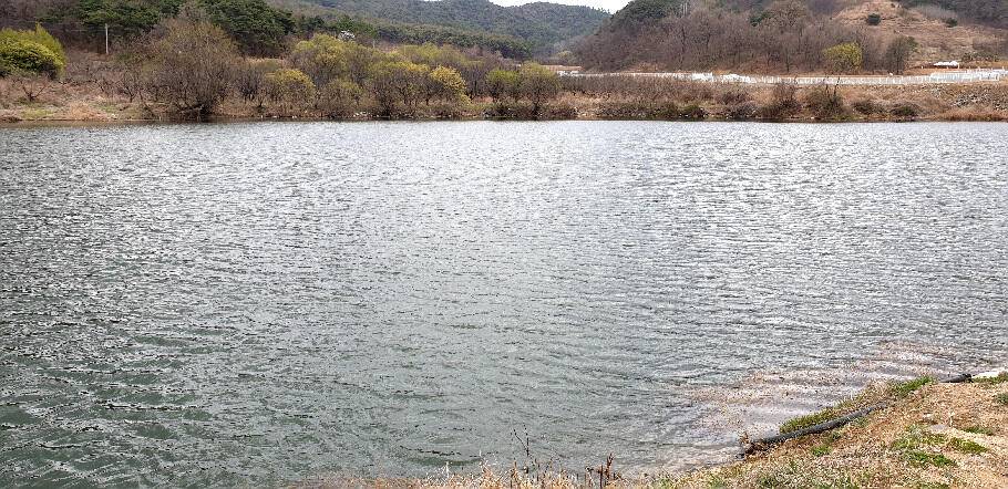 봄내음 가득한 저수지 모습 (조황조행기 - 특파원조황)