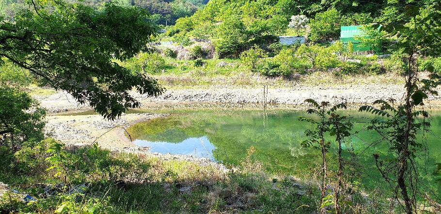 5짜와 함께하는 5월의 조황안내 (조황조행기 - 특파원조황)