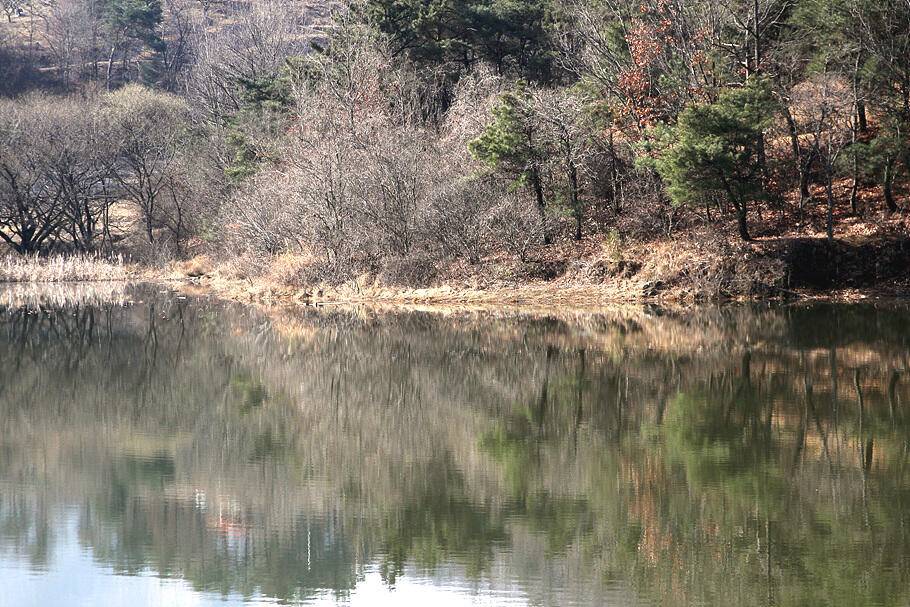 대구경산권 조황안내시즌의 시작 (조황조행기 - 특파원조황)