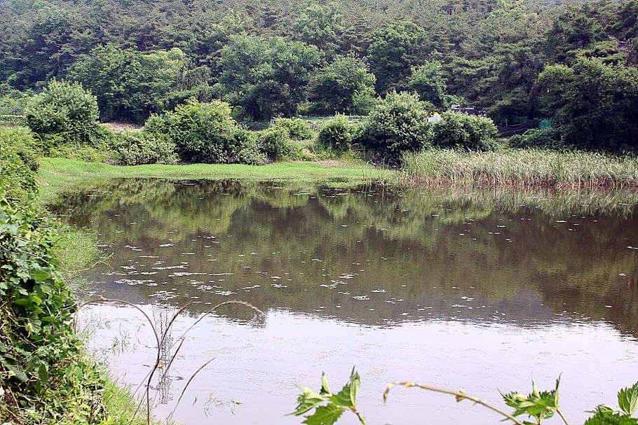 6월하순의 조황안내늦어지는 장마를 기다리며 (조황조행기 - 특파원조황)