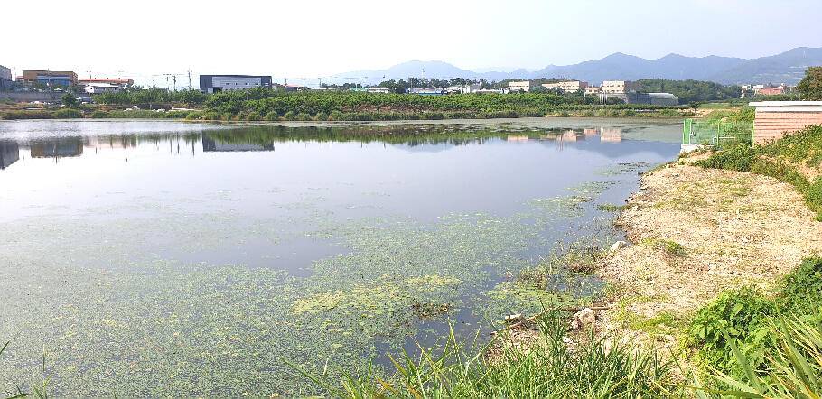 장마 랍니다 또 한번의 시즌을 기대 하면서 (조황조행기 - 특파원조황)