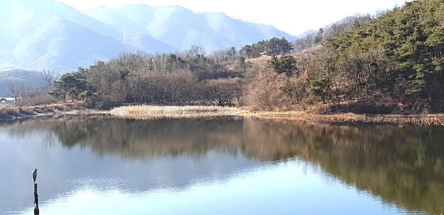 새로운 출발점에 선 3월의 조황 안내 입니다 (조황조행기 - 특파원조황)