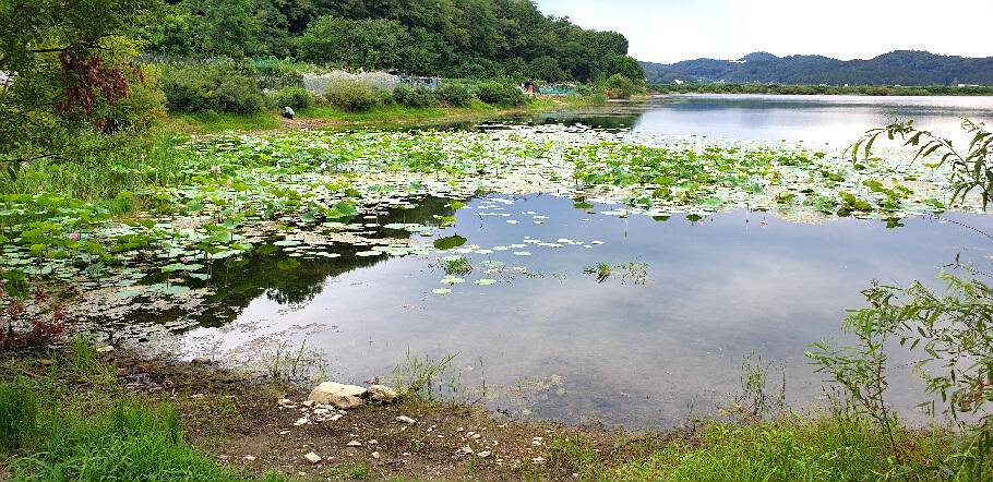 낚시가 갑인듯연일 폭염예보 (조황조행기 - 특파원조황)
