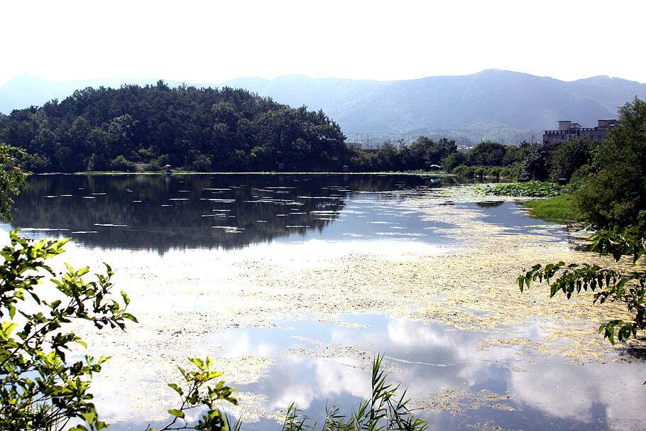 무더운 7월말의 조황안내 입니다 (조황조행기 - 특파원조황)