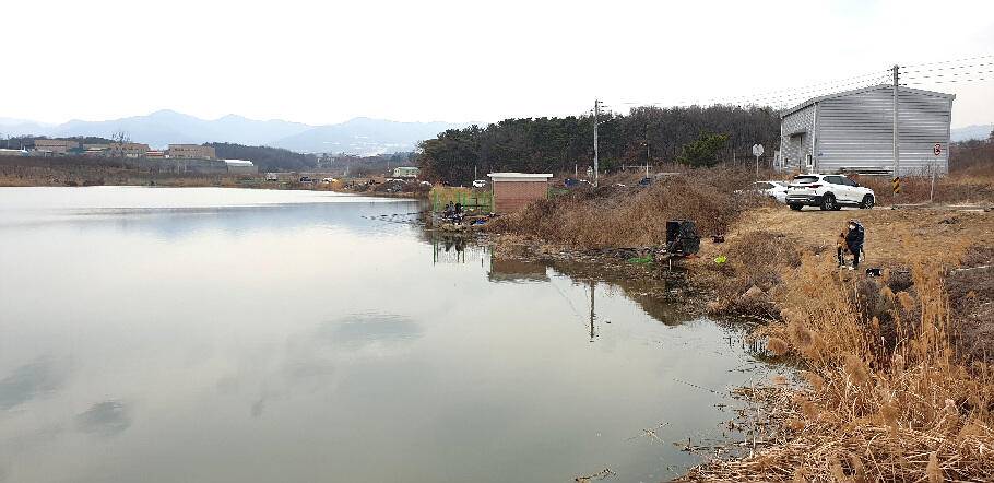 새로운 출발점에 선 3월의 조황 안내 입니다 (조황조행기 - 특파원조황)