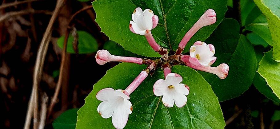 4월의 부푼마음으로 산란철 조황안내 (조황조행기 - 특파원조황)