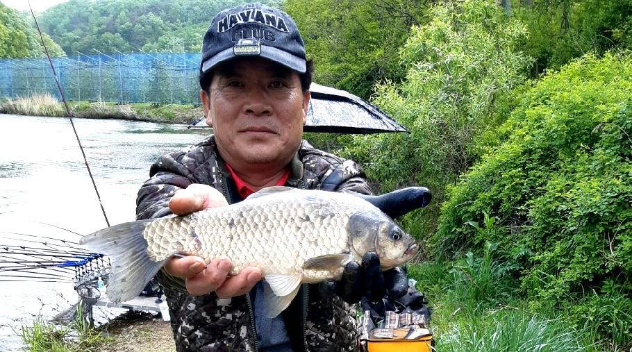 5짜와 함께하는 5월의 조황안내 (조황조행기 - 특파원조황)