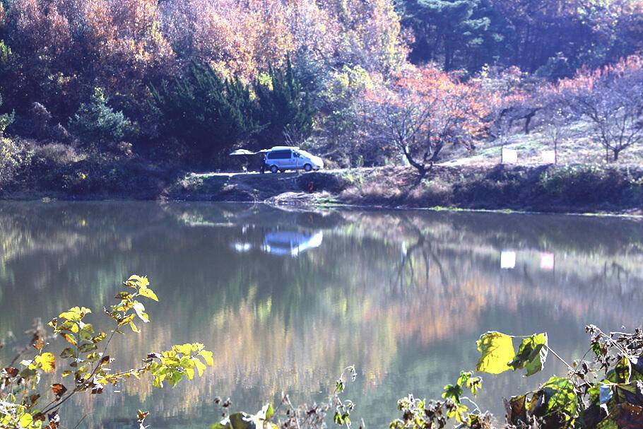 늦가을의 저수지11월 중순의 조황안내 입니다 (조황조행기 - 특파원조황)