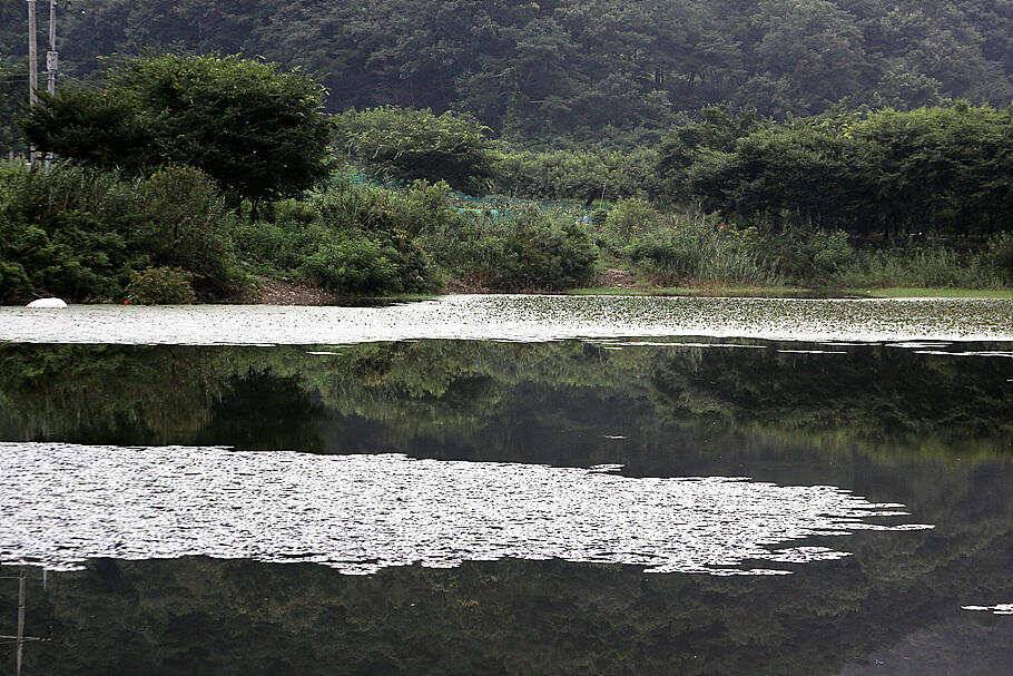 입추가을이 저만치 오네 (조황조행기 - 특파원조황)