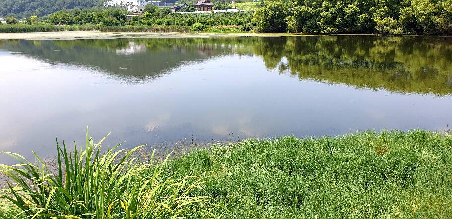 삼복지절 조황안내늦 장마에 라도 거는 기대 (조황조행기 - 특파원조황)