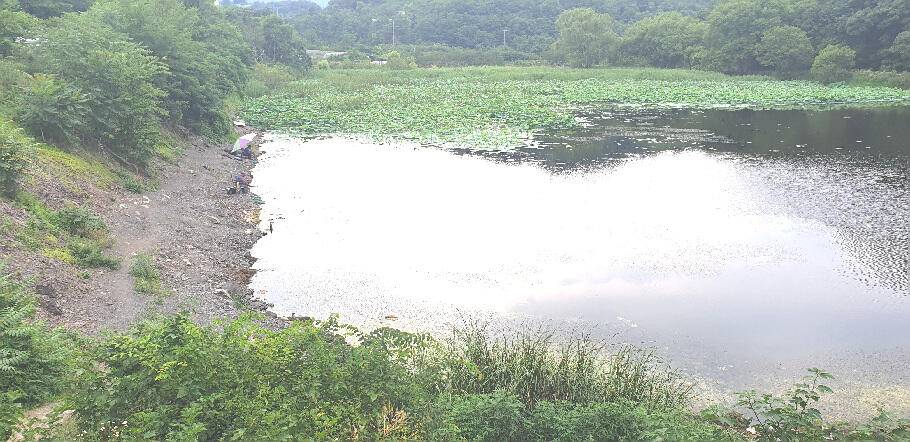 낚시가 갑인듯연일 폭염예보 (조황조행기 - 특파원조황)