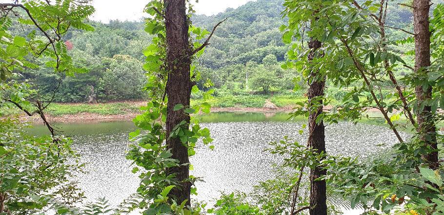 한풀꺽인 더위가까워진 시즌 (조황조행기 - 특파원조황)