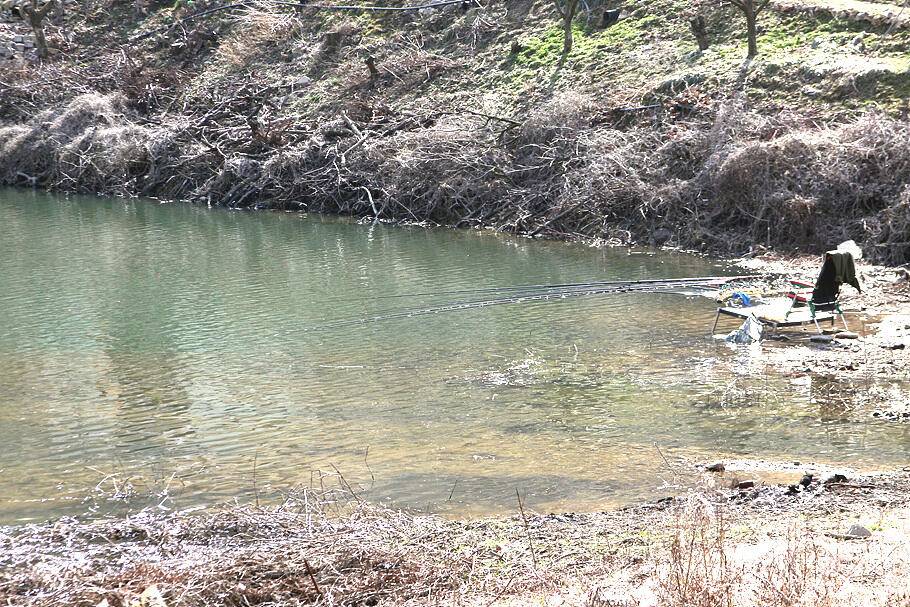 대구경산권 조황안내산란철 도래 (조황조행기 - 특파원조황)