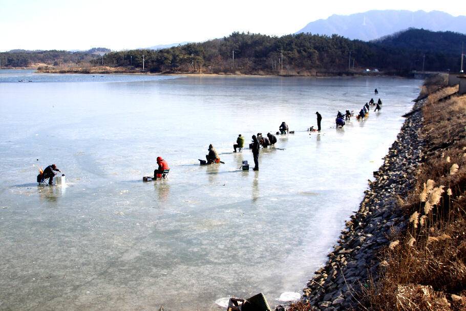 낚동에서 겨울소식 전합니다 (조황조행기 - 특파원조황)