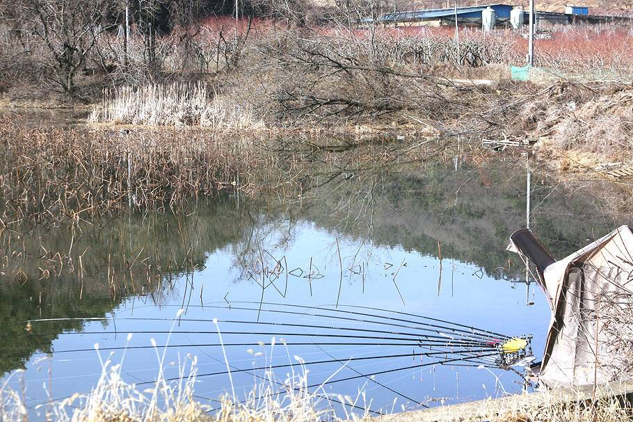 대구경산권 조황안내시즌의 시작 (조황조행기 - 특파원조황)