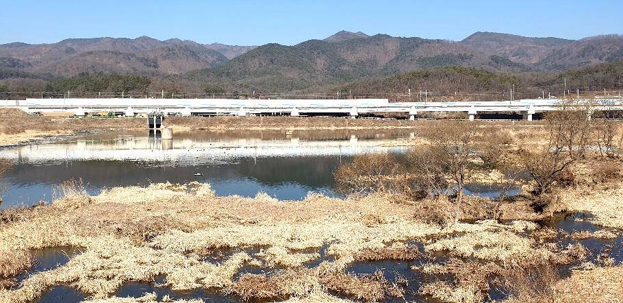 새로운 출발점에 선 3월의 조황 안내 입니다 (조황조행기 - 특파원조황)