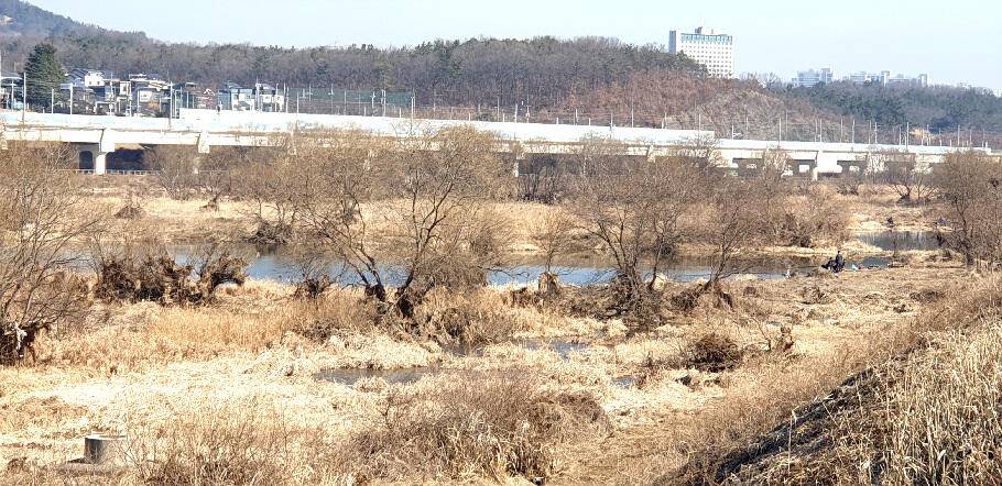 새로운 출발점에 선 3월의 조황 안내 입니다 (조황조행기 - 특파원조황)