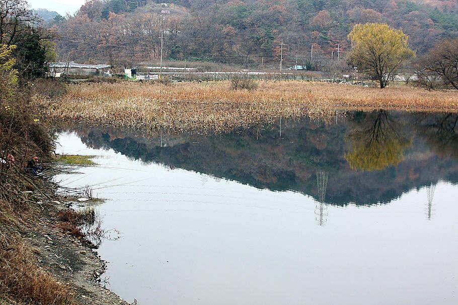 겨울시즌을 맞이 하면서 (조황조행기 - 특파원조황)
