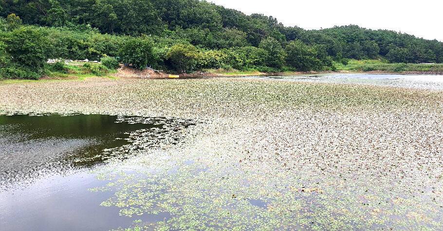 낚시의 계절9월을 맞으면서 (조황조행기 - 특파원조황)