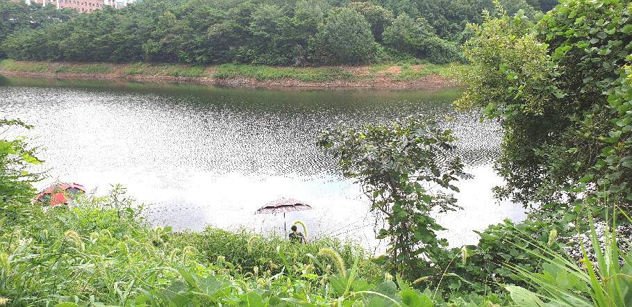 한풀꺽인 더위가까워진 시즌 (조황조행기 - 특파원조황)