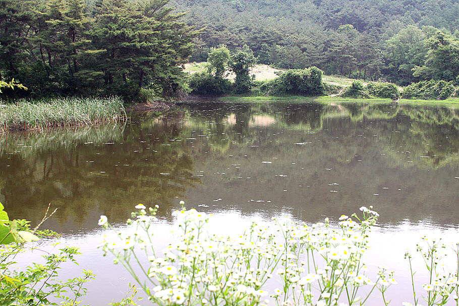 6월하순의 조황안내늦어지는 장마를 기다리며 (조황조행기 - 특파원조황)