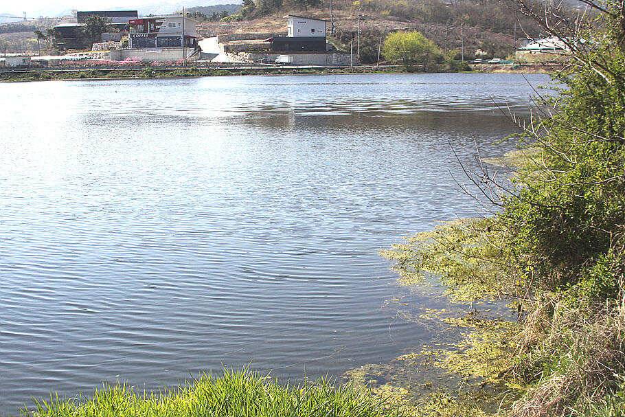 손맛보기 딱좋은계절 4월의 조황안내 입니다 (조황조행기 - 특파원조황)
