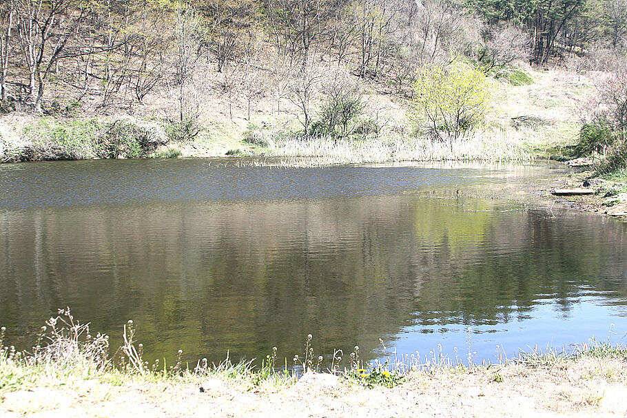손맛보기 딱좋은계절 4월의 조황안내 입니다 (조황조행기 - 특파원조황)