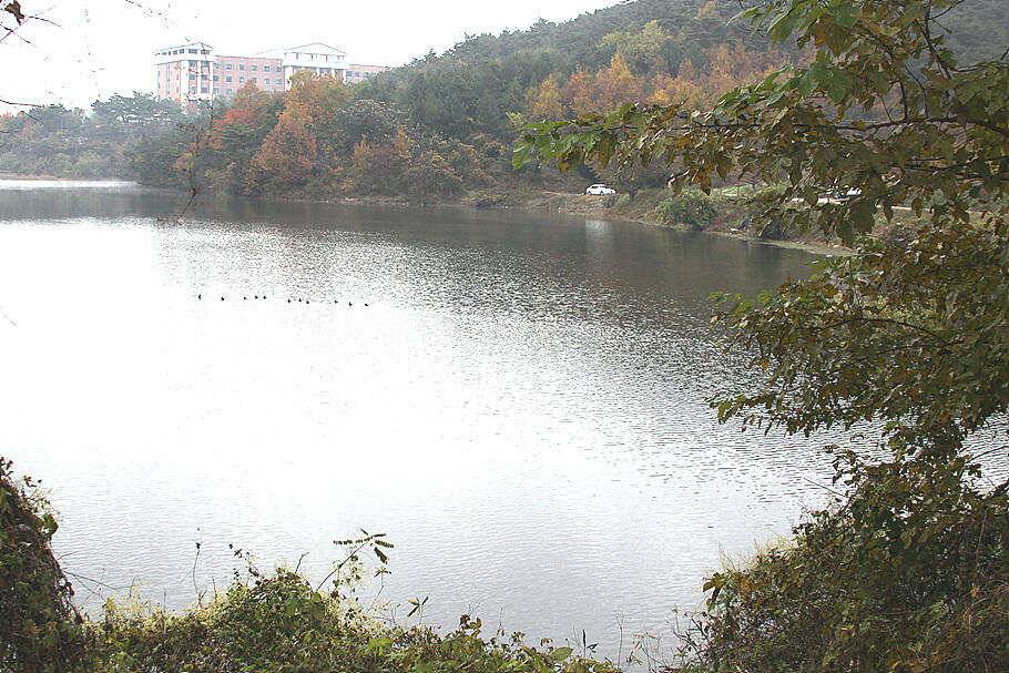 가는 가을을 아쉬워 하며 (조황조행기 - 특파원조황)