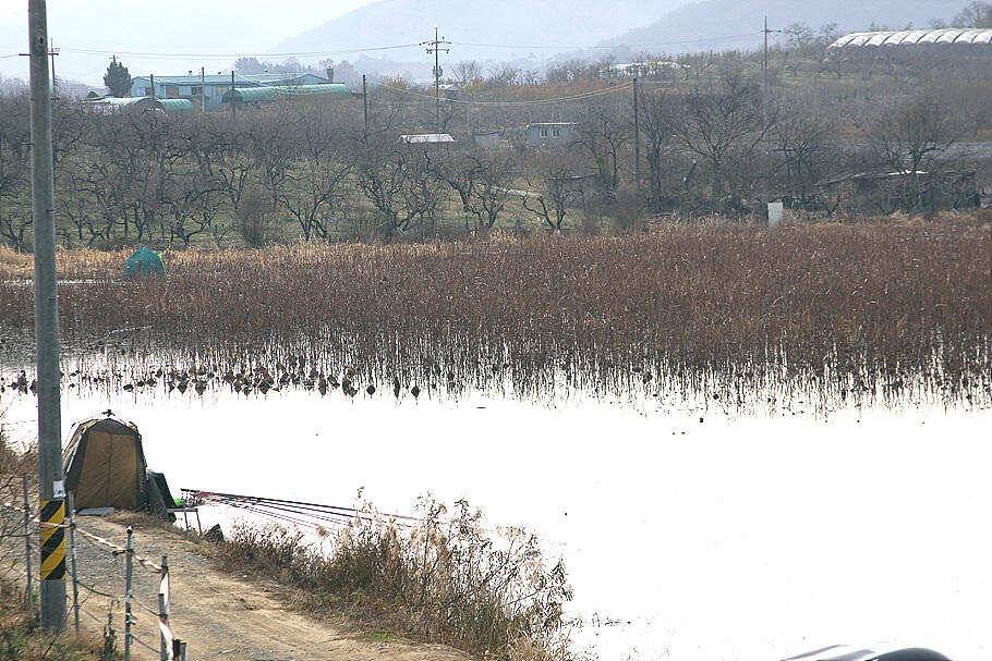 겨울시즌을 맞이 하면서 (조황조행기 - 특파원조황)