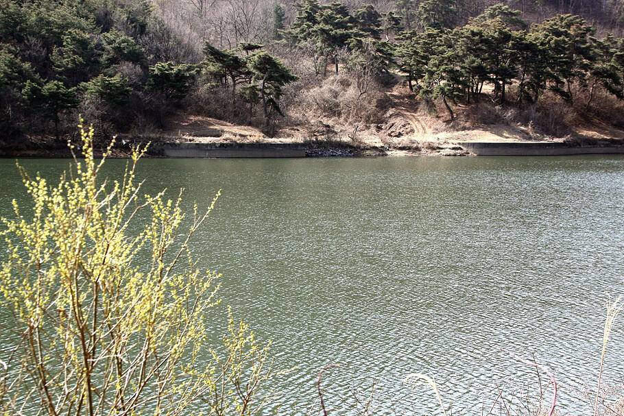 대구경산권 조황안내산란철 도래 (조황조행기 - 특파원조황)
