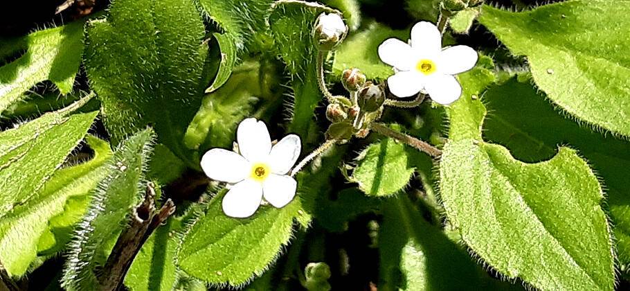4월의 부푼마음으로 산란철 조황안내 (조황조행기 - 특파원조황)