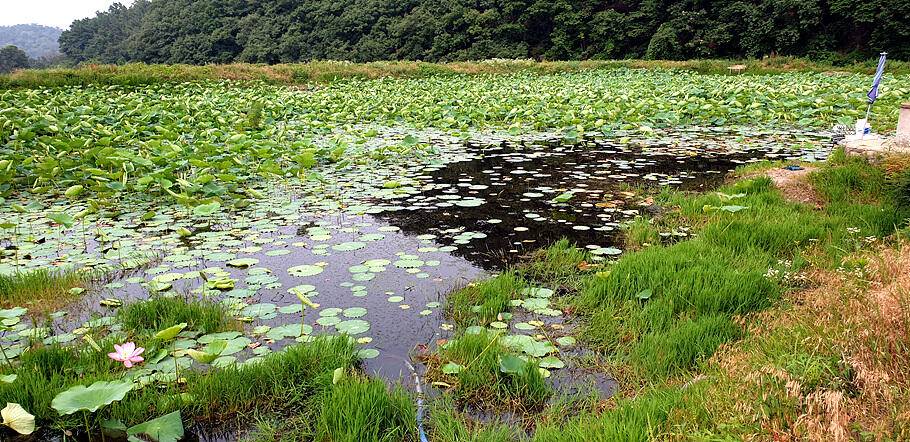 장마철 낚시7월의 조황안내 입니다 (조황조행기 - 특파원조황)