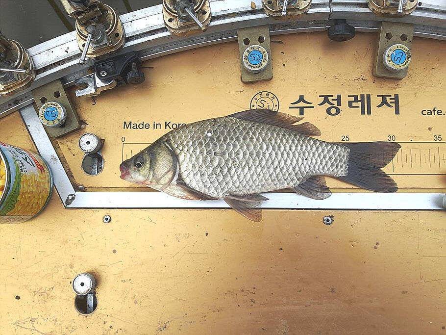 가는 가을을 아쉬워 하며 (조황조행기 - 특파원조황)