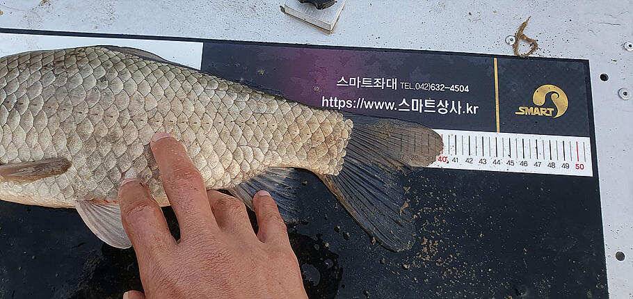 싱그러운 5월에 전하는 조황안내 입니다 (조황조행기 - 특파원조황)