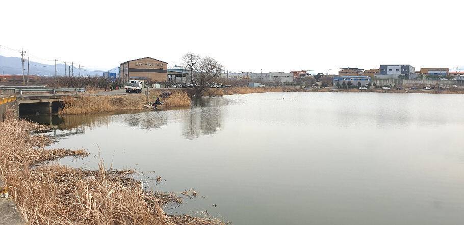 새로운 출발점에 선 3월의 조황 안내 입니다 (조황조행기 - 특파원조황)