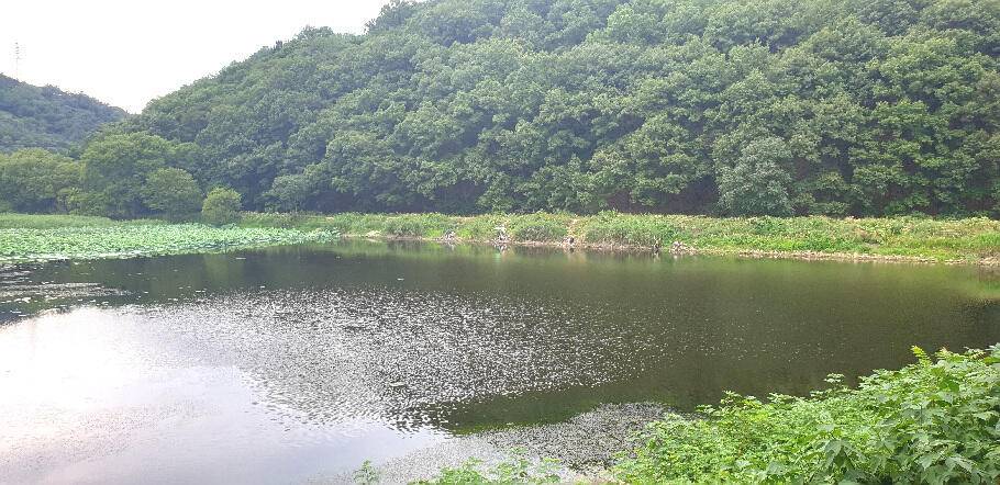 낚시가 갑인듯연일 폭염예보 (조황조행기 - 특파원조황)
