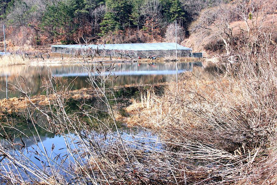 대구경산권 조황안내시즌의 시작 (조황조행기 - 특파원조황)